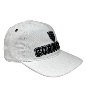 ROBERTO CORNELLI [111225]